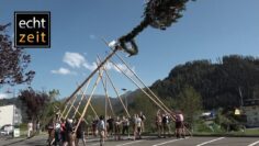 Trachtenverein D´Liesingtaler „Maibaumaufstellen“