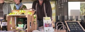 Privat: [ID: vsLpVJVHs-Y] Youtube Automatic