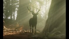 Privat: [ID: Ao2WxLJxHiQ] Youtube Automatic