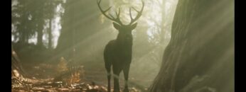 Privat: [ID: Ao2WxLJxHiQ] Youtube Automatic