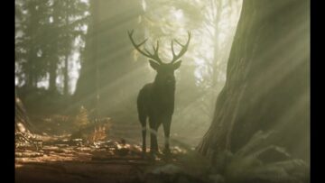 Privat: [ID: Ao2WxLJxHiQ] Youtube Automatic