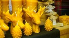 Privat: [ID: qOJfU837M8E] Youtube Automatic