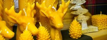 Privat: [ID: qOJfU837M8E] Youtube Automatic