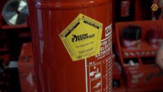 Privat: [ID: zFT06oLduIU] Youtube Automatic