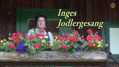 Privat: [ID: 9ZDFQKs5OdA] Youtube Automatic