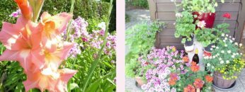 Privat: [ID: o8LOMspOqTI] Youtube Automatic