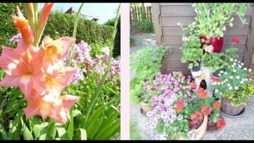 Privat: [ID: o8LOMspOqTI] Youtube Automatic