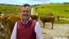 Privat: [ID: 2lf5iRj8n4g] Youtube Automatic