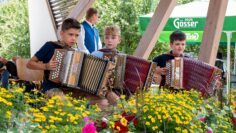 2507_KammernerMarktfest_(c)J_Scharf_040