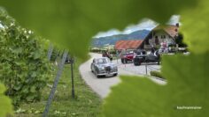 518372688_10213417347065133_3060748702700418957_n