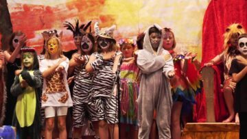 Privat: [ID: rz-0QsdDdo0] Youtube Automatic