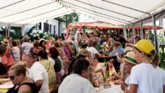 Privat: [ID: RvLGMu6uE_4] Youtube Automatic