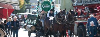 Privat: [ID: bFy8tTz_I3E] Youtube Automatic