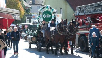 Privat: [ID: bFy8tTz_I3E] Youtube Automatic