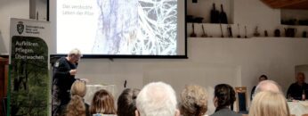 Privat: [ID: Bg8cBth7Pvw] Youtube Automatic